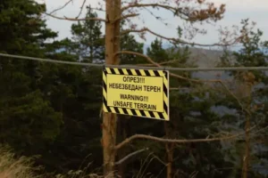 Wie bekommt man Staubläuse weg? Ursachen Erkennen und Staubläuse Wirksam Bekämpfen